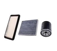 Juego de filtros de aceite for cabina de gas for un mejor mantenimiento del vehículo - Compatible con varios modelos(COLORLESS)