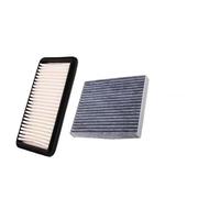 Juego de filtros de aceite for cabina de gas for un mejor mantenimiento del vehículo - Compatible con varios modelos(1 air and carbin)