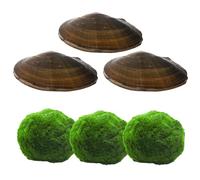 Juego de filtros naturales para estanque | Cuidado natural del estanque para agua clara y limpia | 3 bolas de algas marimo japonesas y 3 conchas