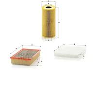 Juego de filtros PUCH G-MODELL (W463) MANN FILTER