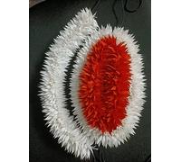 Juego de flores de danza clásica india, 20,32 cm, 30,5 cm, color blanco/bailarín/flujo de cabello/flor de danza india/función