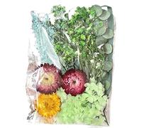 Juego de flores secas - Flores para manualidades, coloridas exhibiciones de boda, ramo de fotos rústico, mezcla de centro vintage | Diario botánico -- Conjunto de flores secas para proyectos de