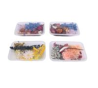 Juego de Flores secas para Manualidades, decoración del hogar y Bodas, 4 Cajas, Colores Vibrantes de Marca desconocida