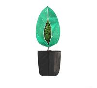 Juego de funda protectora para plantas con cremallera y cordón para protección contra el viento helado, en jardín, patio, balcón, verde, beige, camello (verde)