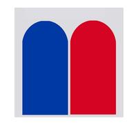 Juego de Fundas para Arco Nupcial Cubierta de Arco Boda Doble Cara Gruesa Spandex, Cubierta, Cubiertas Soporte Fondo, decoración Fiesta cumpleaños(Blue Red,50x120cm 4ft)