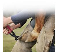 Juego de herramientas para herrador de 4 piezas que incluye pinza y escofina para herrar con mango y cortador para el cuidado de equinos y mantenimiento de herraduras Construcción