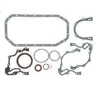 Juego de juntas, bloque motor REINZ 08-23522-02 para TERRA (24) 1.3 1990-1994