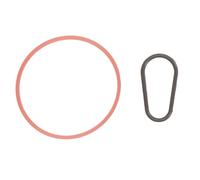 Juego de juntas, bomba de vacío ELRING 795.110