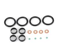 Juego de Juntas Tóricas de Repuesto para Inyector de Combustible, Compatible con Nemo Xsara C1 C2 C3 Kit 1982F7 Sellado 1204698 198196 Kit de Reparación de Goma,