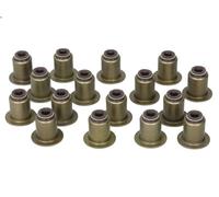 Juego de juntas, vástago de válvula REINZ 12-38539-01 para RCZ 2 2010-2015