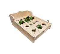 Juego de la Rana “14 Hoyos”, de Hierro Fundido, con Cajón de Madera (Sin Patas)