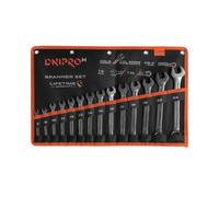 Juego de llaves combinadas Dnipro-M ULTRA en estuche (7-24 mm) 14 uds.