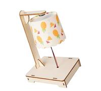 Juego de luces de escritorio levitantes creativas con marco de madera y actividades prácticas Materiales de aprendizaje hechos a mano adecuados para niños Juego de experimentos científicos de