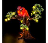 Juego de luces LED compatible con Lego 21365 Love Birds (sin modelo), juego de iluminación decorativa compatible con Lego Love Birds 21365 ladrillos modelo