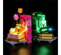 Juego de luces LED compatible con Lego Glinda & Elphaba Bookends 75691 (no modelo), juego de iluminación decorativa compatible con Lego Glinda y Elphaba Bookends modelo de bloques de construcción