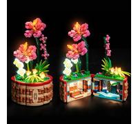 Juego de luces LED para Lego 43252 Moana's Flowerpot, juego de iluminación decorativa para maceta Lego Vaianas 43252, juguete creativo