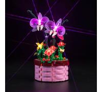 Juego de luces LED para maceta Lego Disney Encanto Isabelas (no Lego), juego de iluminación decorativa para Lego 43237 Isabela's Flowerpot juguete creativo