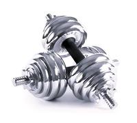 Juego de Mancuernas Pesas Discos de Acero Cromado con Cierre de Estrella para Regular el Peso, Equipo de Fitness para el Hogar incluye 2 pesas (30kg Total 15kg cada pesa)