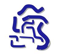 Juego De Manguitos De Silicona compatible con Nissan Patrol Y60 RD28T : Silicona Reforzada para el Circuito de Agua Refrigerante (Azul)