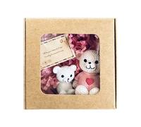 Juego de mini osito de peluche con cartón y caja, para adolescentes y adultos | Para aliviar el estrés y como compañero de viaje Hug In A Box For Women