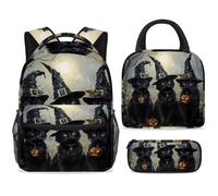 Juego de mochila escolar con bolsa de almuerzo, estuche para lápices, juego de 3 mochilas escolares, mochila de viaje, mochila casual para adolescentes, niñas, niños, primaria, junior, medio, sombrero