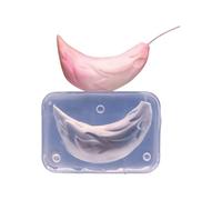 Juego de moldes de de silicona flexible de grado alimenticio para arcilla que crea textura de felpa Ideal para diseño de personajes y actividades escolares Molde de pequeño y resistente