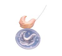 Juego de moldes flexibles de silicona de grado alimenticio para arcilla para crear textura de felpa, ideal para diseño de personajes y actividades escolares, molde de cola de anime