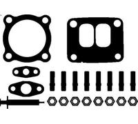 Juego de montaje, turbocompresor MAHLE 001 TA 15055 000 para ATEGO 6.374 1998-