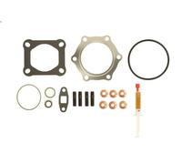 Juego de montaje, turbocompresor MAHLE 228 TA 17917 000 para TGA 11.967 2001-