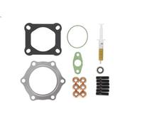 Juego de montaje, turbocompresor MAHLE 228 TA 17918 000 para NL 12.816 1999-