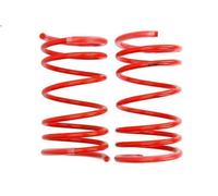 Juego de muelles de suspensión EIBACH E20-70-002-01-20 para 206 CC 2 2000-2007