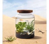 Juego de pecera de cristal, acuario en miniatura para plantas acuáticas y peces, botella hidropónica para betta, peces dorados, peces pequeños o camarones
