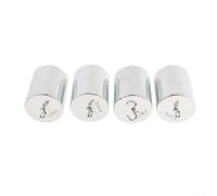 Juego de pesas de calibración de 4 piezas, doble gancho, acero cromado para medición de equilibrio y fuerza, laboratorio, aula, hogar, caja de almacenamiento precisa de 200 g