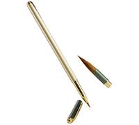 Juego de pinceles de pintura, escritura regular de guiones con convertidor de tintas y 4 cartuchos de tinta para escribir, pintar, bolígrafo para estudiantes