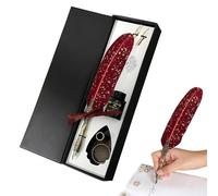 Juego de pluma y tinta, herramienta de escritura vintage, bolígrafos para principiantes, escritores, autores, pintores, estudiantes, profesores, coleccionistas, artistas, cumpleaños, vacaciones