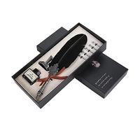 Juego de Pluma Y Tinta Retro, Juego de Pluma de Pluma, Pluma de Inmersión de Escritura de Caligrafía Antigua, Incluye Pluma de Pluma, 5 Puntas de Repuesto, Base de Soporte de Pluma Y Botella(Negro)