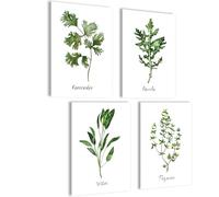 Juego de pósteres de cocina esthetic con diseño de acuarela, 4 pósteres A4 sin marco de fotos, juego de collage de pared, 4 x A4 sin marco, juego de cilantro rúcula, salvia, tomillo K2