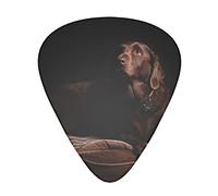 Juego de púas de guitarra Brown Labrador Retriever, 12 piezas, para guitarra acústica, guitarra eléctrica, contrabajo y ukelele