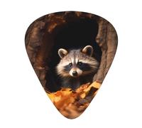 Juego de púas impresas de mapache en un agujero de árbol, 12 púas de guitarra finas, medianas y gruesas, adecuadas para guitarra, bajo, guitarra eléctrica y ukelele