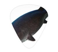 Juego de púas impresas de tiburón feroz - 12 púas de guitarra finas, medianas y gruesas, adecuadas para guitarra, bajo, guitarra eléctrica y ukelele