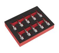 Juego De Puntas De Enchufe TRX-Star Sealey 10 Piezas 3/8" Cuadrado AK6242