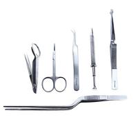 Juego de recolección de insectos (6 piezas)