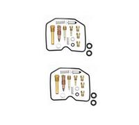 Juego De Reconstrucción Carburador Kit De Reparación Carburador Motocicleta para EL250 (1988-1996): Incluye Flotador, Diafragma, Émbolo Y Surtidores(Conjunto 3)