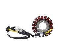 Juego De Rectificador Y Regulador Bobina Estator Para Motocicleta Para NSS250 Forza 250 MF06 Reflex NSS250S 2004-2007