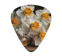 Juego de regalo de púas de guitarra de ramo de narcisos, púas suaves y duraderas para guitarra acústica, eléctrica y bajo, regalo perfecto para amantes de la guitarra y músicos