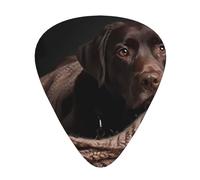 Juego de regalo de púas de guitarra marrón Labrador Retriever, púas suaves y duraderas para guitarra acústica, eléctrica y bajo, regalo perfecto para amantes de la guitarra y músicos
