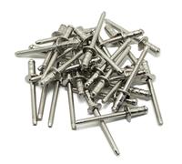 Juego de remaches LeoVince Pieza de repuesto de escape, de acero inoxidable, 4,8x10mm, 20 piezas