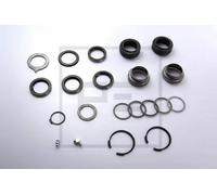 Juego de reparación del eje del expansor 036.100-00A PE Automotive