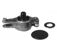 FEBI BILSTEIN 08486 Brazo tensor, correa poli V