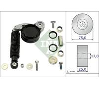 Juego de reparación del tensor de la correa trapezoidal 533 0118 10 INA para VW